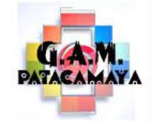 gam patacamaya